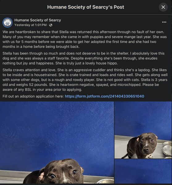 File:Humane-society-of-searcy-stella-fb-post-screenshot.jpg